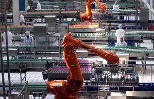 大型装备制造项目生产计划管理全攻略 从理论到实践的信息技术应用与咨询指南